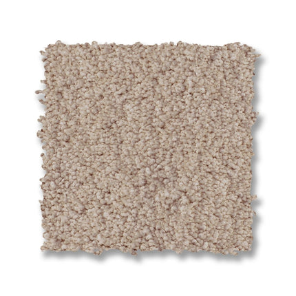 Luxe Feel I - ZZ321_00127-Carpet