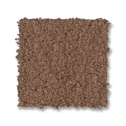 Luxe Feel I - ZZ321_00741-Carpet