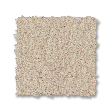 Luxe Feel I - ZZ321_00141-Carpet