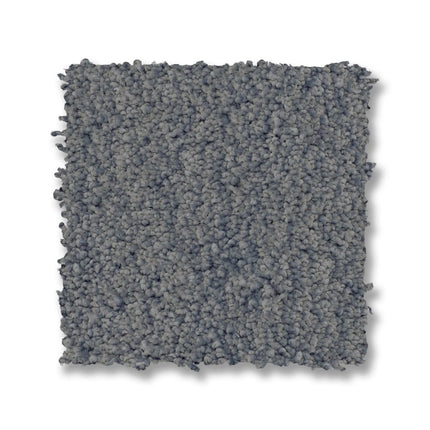 Luxe Feel I - ZZ321_00442-Carpet