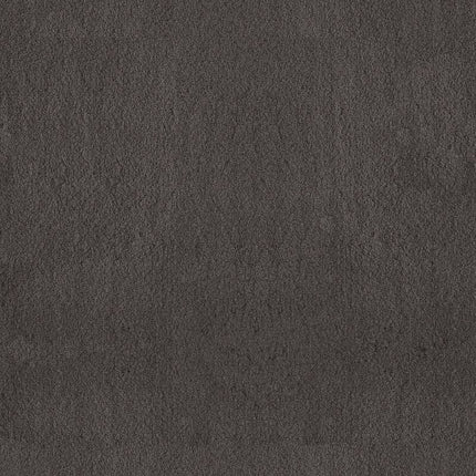 Luxe Feel Ii - ZZ322-00529-Carpet