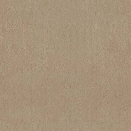 Luxe Feel Ii - ZZ322-00128-Carpet