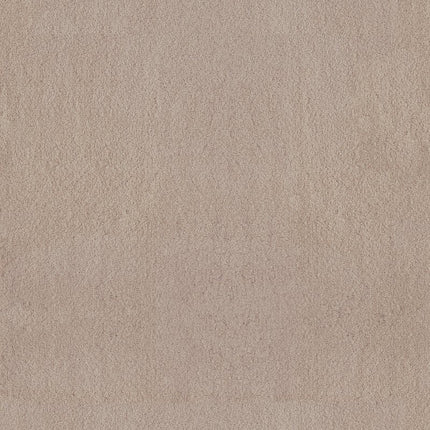 Luxe Feel Ii - ZZ322-00126-Carpet