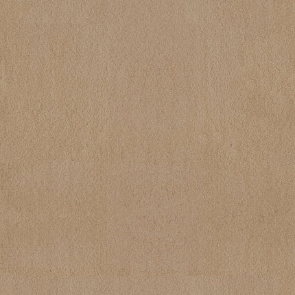 Luxe Feel Ii - ZZ322-00221-Carpet