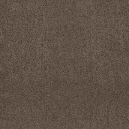 Luxe Feel Ii - ZZ322-00724-Carpet
