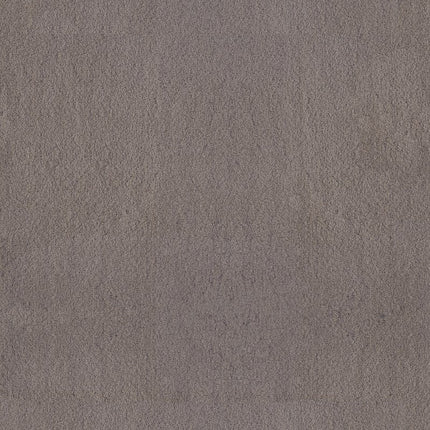 Luxe Feel Ii - ZZ322-00524-Carpet