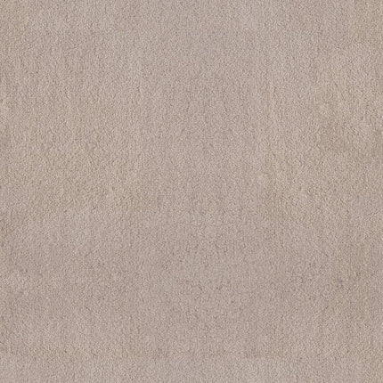 Luxe Feel Ii - ZZ322-00511-Carpet