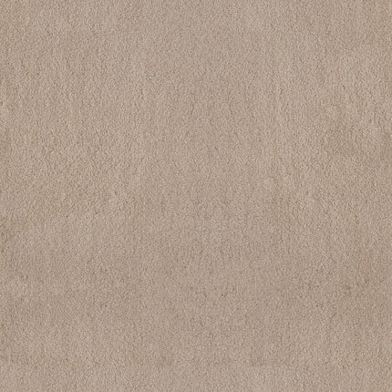 Luxe Feel Ii - ZZ322-00127-Carpet