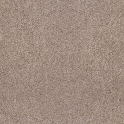 Luxe Feel Ii - ZZ322-00720-Carpet