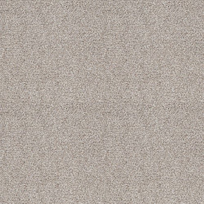 MAKE IT WORK - E9716 - 00176 - Carpet