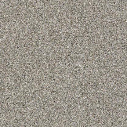 MAKE IT WORK - E9716 - 00577 - Carpet