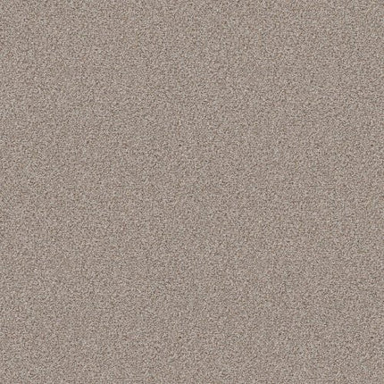 MAKE IT WORK - E9716 - 00172 - Carpet