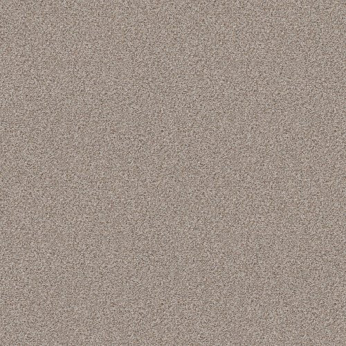 MAKE IT WORK - E9716 - 00172 - Carpet