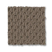 Shingle