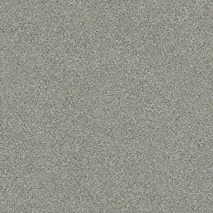 MONTAGE I - 5E081 - 141A - Carpet