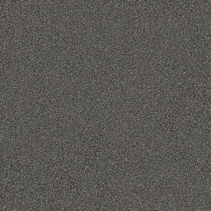 MONTAGE I - 5E081 - 520T - Carpet
