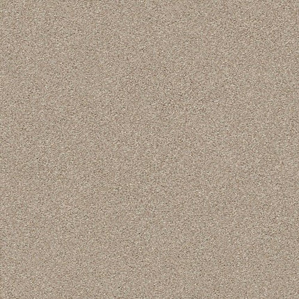 MONTAGE I - 5E081 - 121T - Carpet