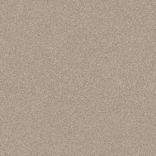 MONTAGE I - 5E081 - 121T - Carpet