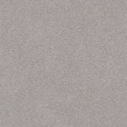 MONTAGE I - 5E081 - 500S - Carpet