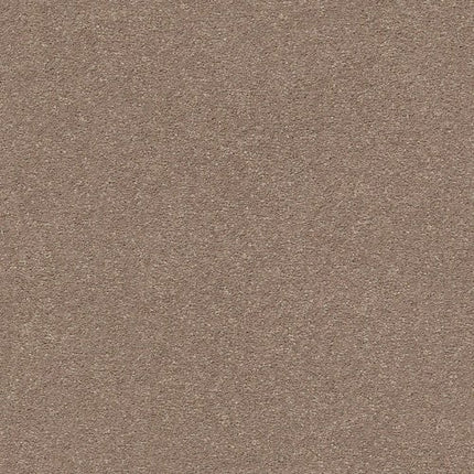 MONTAGE I - 5E081 - 700S - Carpet