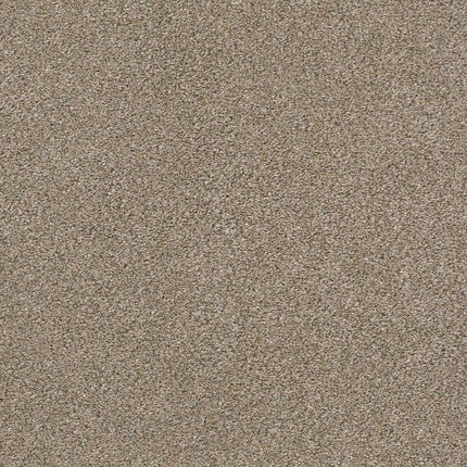 MONTAGE I - 5E081 - 140A - Carpet