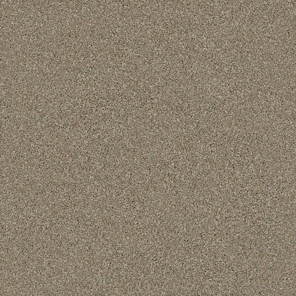 MONTAGE I - 5E081 - 720T - Carpet
