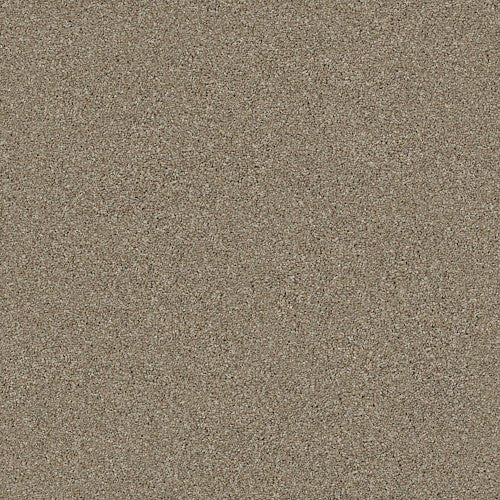 MONTAGE I - 5E081 - 720T - Carpet