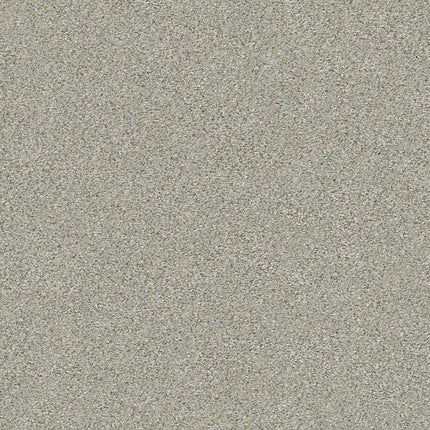MONTAGE I - 5E081 - 131A - Carpet