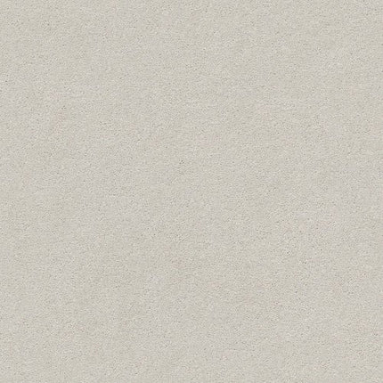 MONTAGE I - 5E081 - 100S - Carpet