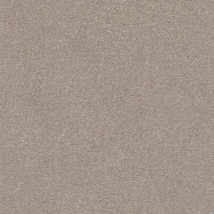MONTAGE I - 5E081 - 102S - Carpet