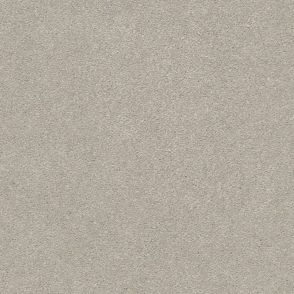 MONTAGE I - 5E081 - 101S - Carpet