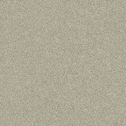 MONTAGE I - 5E081 - 130A - Carpet