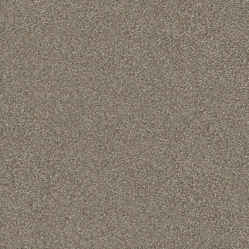 MONTAGE II - 5E082 - 720T - Carpet