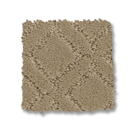 Muse - ZZ078_00115-Carpet