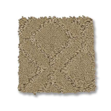 Muse - ZZ078_00123-Carpet