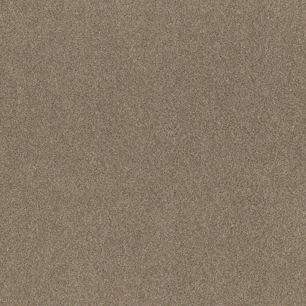 Ocean View - ZZ043_00773-Carpet