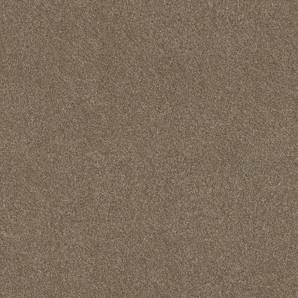 Ocean View - ZZ043_00775-Carpet
