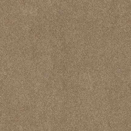 Ocean View - ZZ043_00275-Carpet