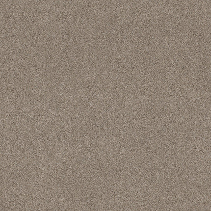 Ocean View - ZZ043_00756-Carpet