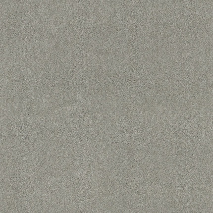 Ocean View - ZZ043_00523-Carpet