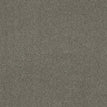 City Gray