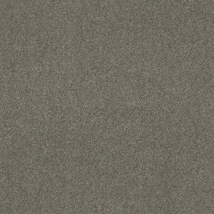 Ocean View - ZZ043_00558-Carpet