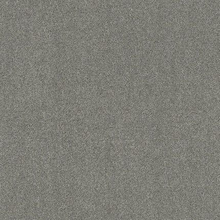 Ocean View - ZZ043_00545-Carpet