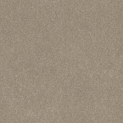 Ocean View - ZZ043_00732-Carpet