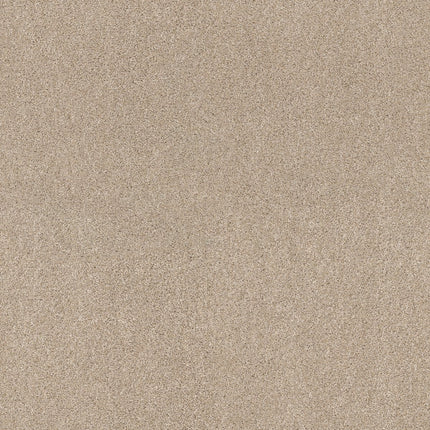 Ocean View - ZZ043_00113-Carpet