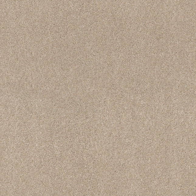 Ocean View - ZZ043_00113-Carpet