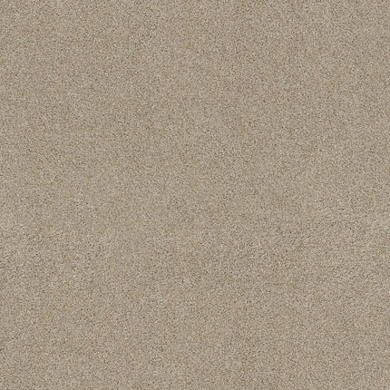 Ocean View - ZZ043_00133-Carpet