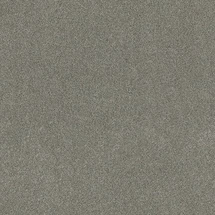 Ocean View - ZZ043_00554-Carpet