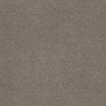 Ocean View - ZZ043_00537-Carpet