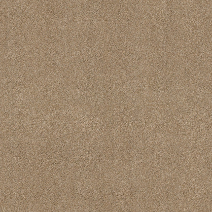 Ocean View - ZZ043_00237-Carpet